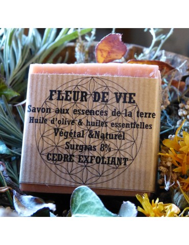 Savon végétal exfoliant...